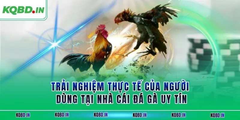SV88 – Nhà Cái Đá Gà Uy Tín Với Ưu Đãi Thành Viên Hấp Dẫn 3 Trải nghiệm thực tế của người dùng tại nhà cái đá gà uy tín